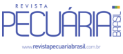 Pecuaria Brasil